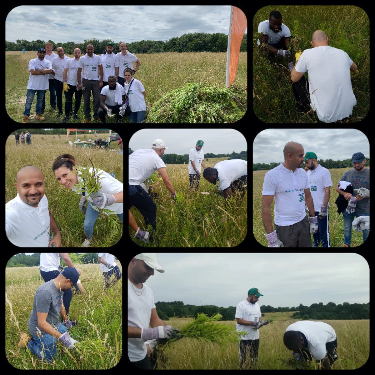 Risk and VR coming together to help @WoodlandTrust clear Canadian Goldenrod from the beautiful Warren Farm <a href="/rickychand007/">ricky chand</a> <a href="/bkcoyle/">Bridget Long</a> <a href="/CH_erac/">Caroline Howarth</a> #U1Strong <a href="/U1Diversity/">U1 Diversity ERAC</a>