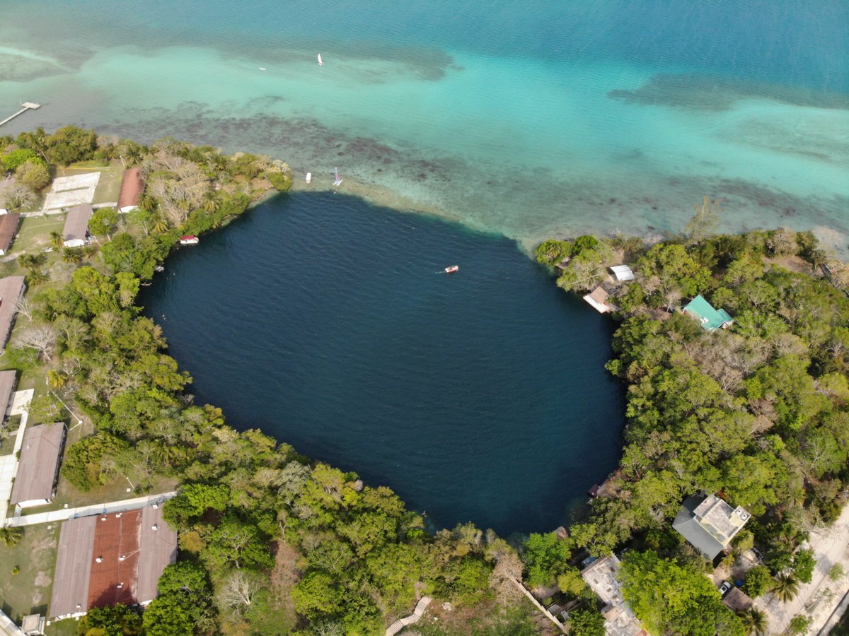 MODE_media's tweet photo. ❕According to #travellers this is the #best #place to #swim in #Mexico 🤩 
❔Wondering how to spend your #vacation at a beautiful #lagoon? 
MODE MEDIA prepared you a must-do list when u are in #Bacalar🌊
Spectacular #video and #pictures are guaranteed 😉 https://t.co/DDXmJMGhqW https://t.co/8HuwxMHBMh