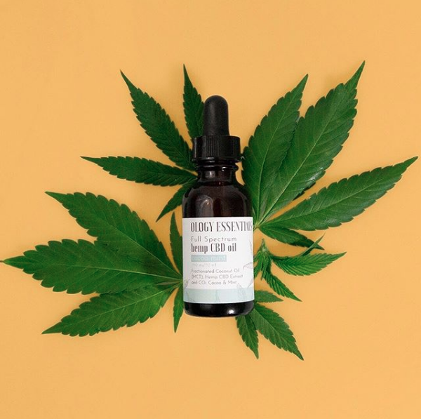 OlogyEssentials's tweet photo. Who said you can't have chocolate for breakfast, lunch and dinner? 🍫 With our delicious Cocoa Mint internal CBD oil, you can have chocolate at any time of the day! ⏰ #fullspectrumoil #cbdproducts #cbdcommunity #chocolatefordinner #cocoacravings #cocoamint #cbdflavors https://t.co/2BrAz6VpQb