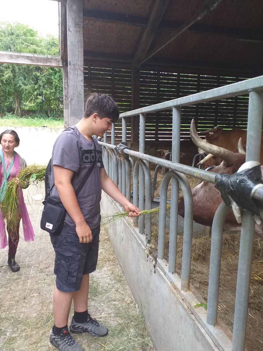 SCHS_RS's tweet photo. Also, there were many cows! I learnt that the word 'goshalla' is Sanskrit for cow (go) shed (shalla). I loved the way they play music to the cows when being milked! https://t.co/At10rfEXD8