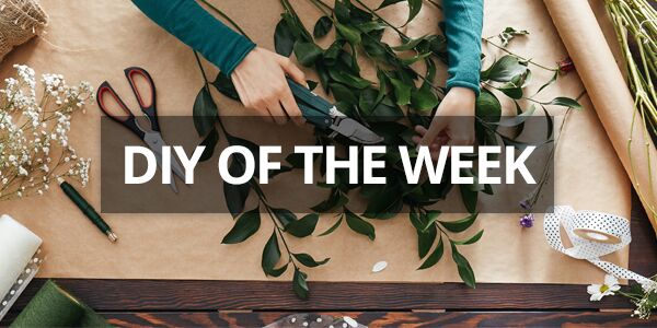 Swagbucks On Twitter Diy Of The Week Popsicle Stick Bird Feeder