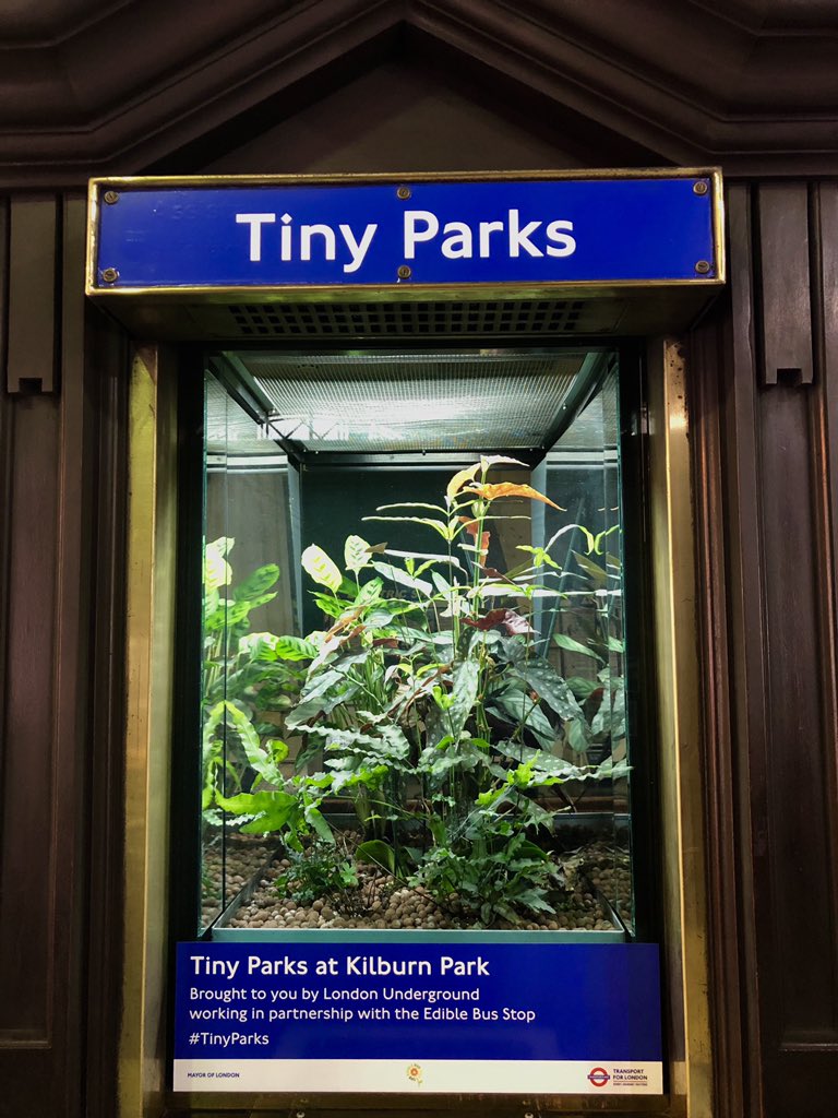 The Edible Bus Stop® ⧖⃝ tweet media