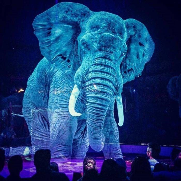 wef's tweet photo. This German circus is using holographic animals instead of real ones https://t.co/F809BtIHd5 #technology https://t.co/ah6CGNPDFn