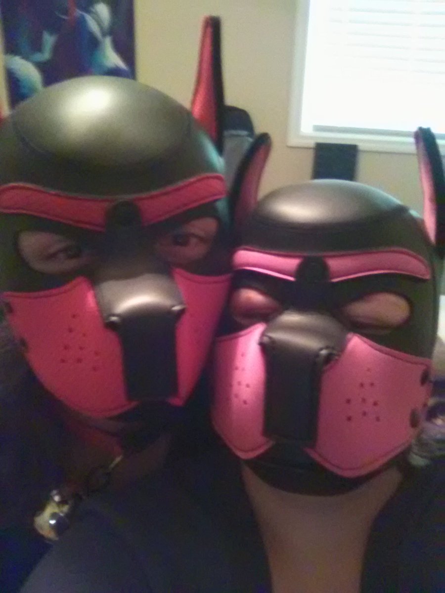 thotterroo's tweet photo. Gotta love pups, my alpha always gives me a good time~
#puppyplay #puphood #furry #prelewdfun #acidtrip #Wherethehellaremyeyes https://t.co/6RQd8d0arG