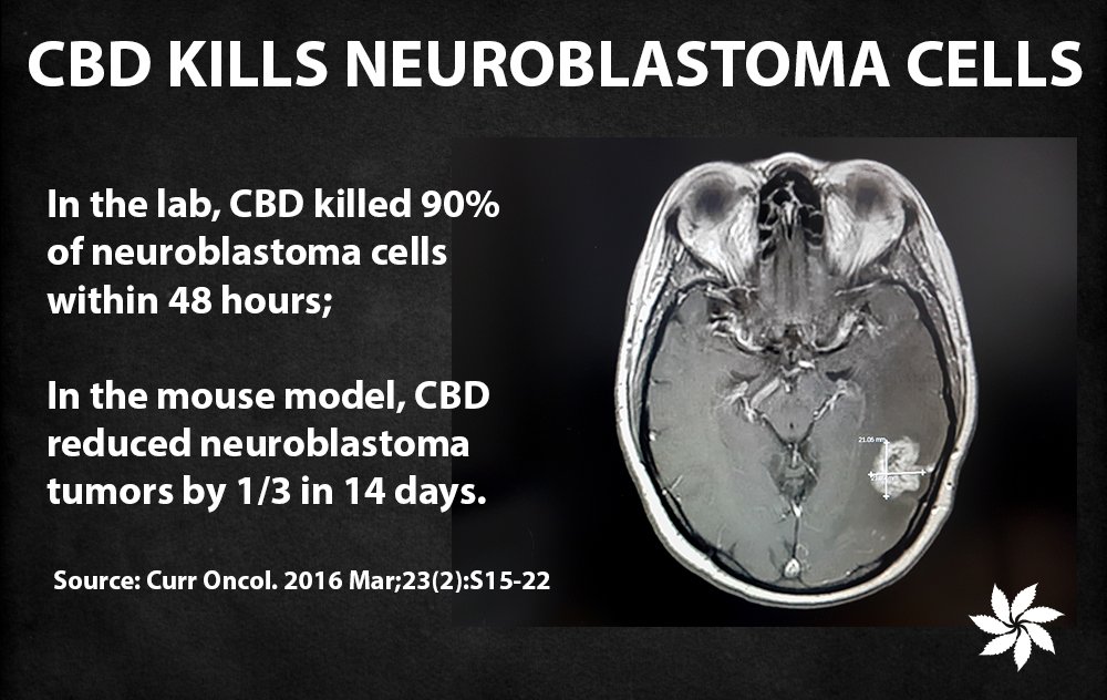 RxLeafMD's tweet photo. #cancersucks #neuroblastoma #CBD #medicalcannabis #goodmedicine #cannabispatient #legalizeit #rxleafdotcom https://t.co/utGCRlW42S