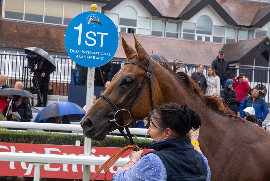 DIA_Races's tweet photo. #DIARday2019 - discover the races
1st race is the @emirates Premier Handicap Stakes at 2.10pm (tbc).
Premier Handicap, 1 mile, for 4yos & up, rated 50-90.
2018 winner: TAQDEERAAT
trainer: @CollingtRacing
jockey: @HarryBentley_
#WhoWillWinIn2019? #ArabianRacing https://t.co/wwfpwmvxRc