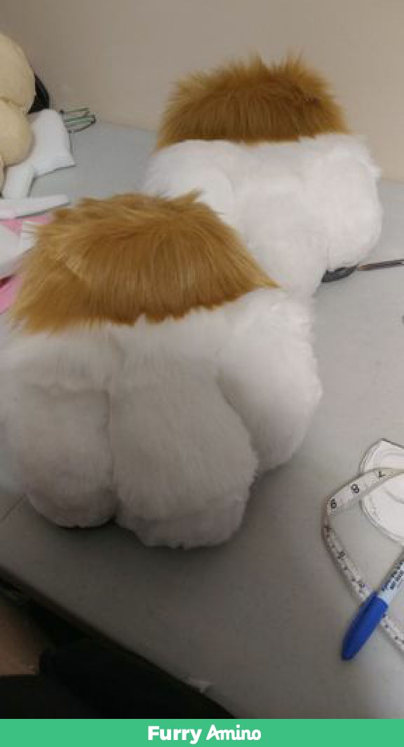 thotterroo's tweet photo. MMMMYYYYY PEEEETTTTSSSSS

By https://t.co/kgKbyEJpU2 
Salty was amazing the while time and incredibly cheep, if your getting a suit for the first time I highly recommend her! https://t.co/2BCqA7NXwy