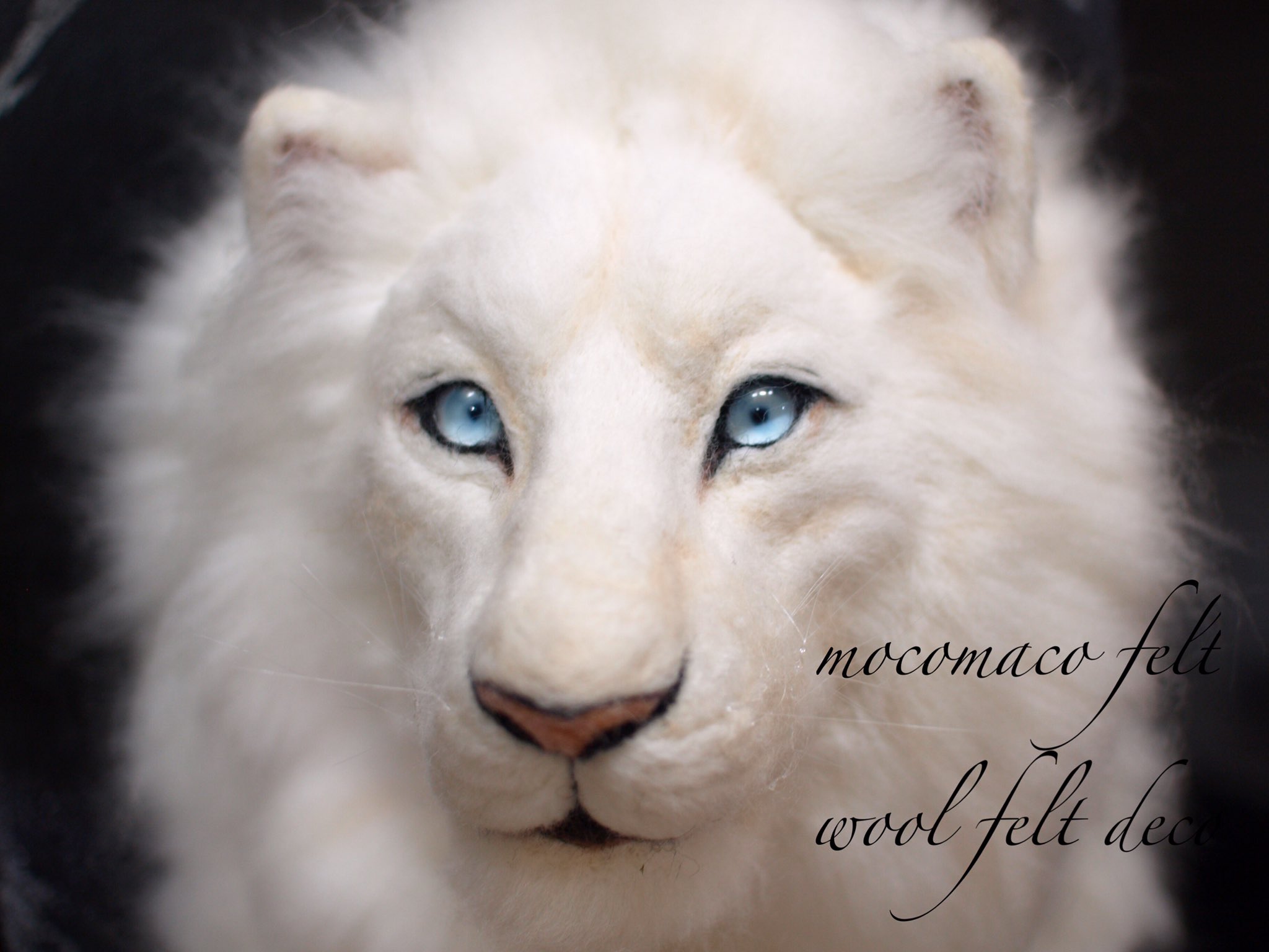 Mocomaco Felt 羊毛フェルト やっと完成しました わかった方がほとんどでした 作っていたのはホワイトライオンでした 白い羊毛の在庫が多くてついつい白い生き物をって考えてたらホワイトライオンに行きつきました 羊毛 羊毛フェルト 羊毛氈 新潟 Mocomaco Felt 羊毛フェルト やっと完成しました わかった方がほとんどでした 作っていたのはホワイトライオンでした 白い羊毛の在庫が多くてついつい白い生き物をって考えてたらホワイトライオンに行きつきました 羊毛 羊毛フェルト 羊毛氈 新潟