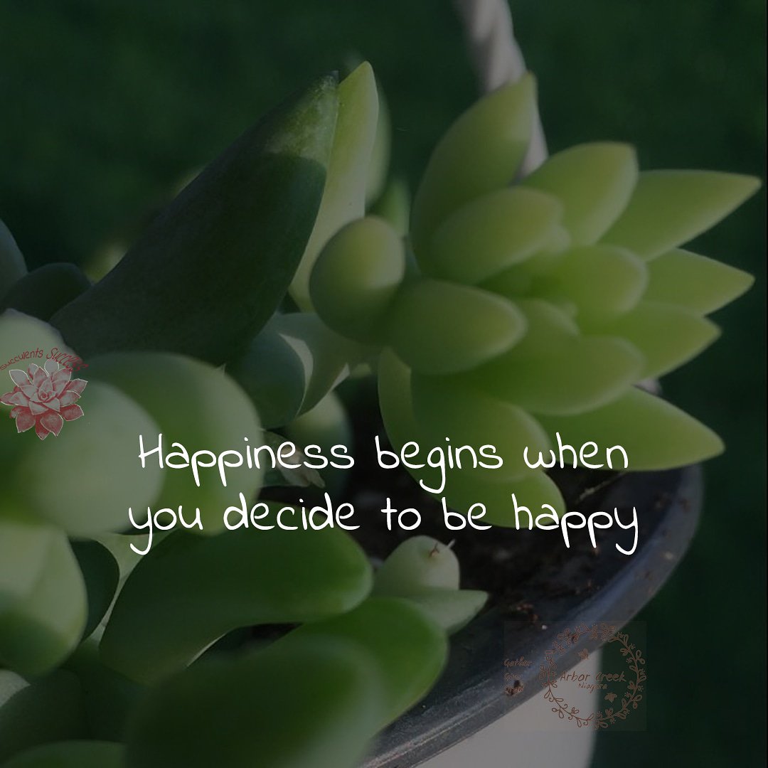 #Happiness #begins #when #you #decide #tobe #happy #succulents #success #quotes @ArborCreekNiag - Like for more success - Follow us for more success quotes @SucculentsSucc1