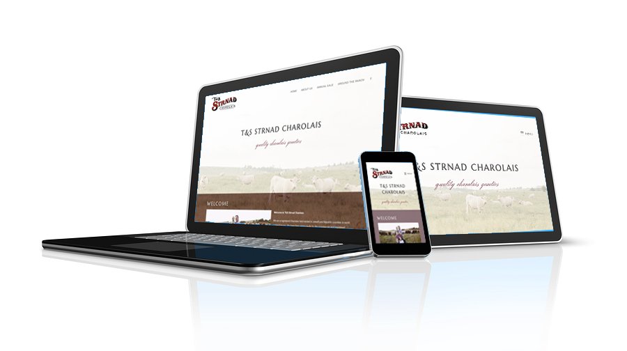 HuncovskyMktg's tweet photo. Check out the new and improved web site design for T&amp;S Strnad Charolais. The new site is responsive to mobile, tablet and desktop computers. Mobile views on web sites is approaching 50%. If your web site needs an upgrade message us today. 
https://t.co/CkgFn0LQGx #Webdesign https://t.co/OzbYxlkHid