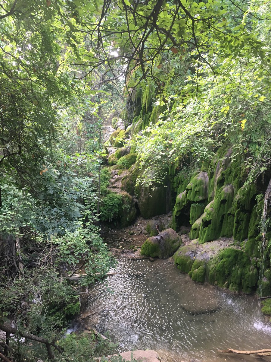RoamWithRobin's tweet photo. Great hike to Gorman Falls and the view is worth the walk. @ColoradoBendSP https://t.co/ds8mJrqgOb