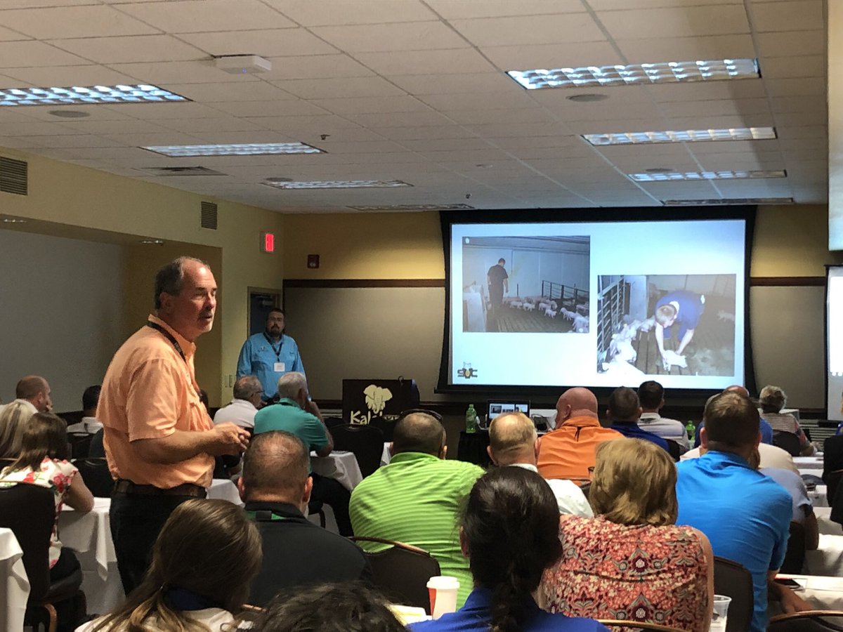 angelv35's tweet photo. Always learn something new from the crew at SVC #earlypigcare #wecare #NPIC2019 https://t.co/4adyuHGDQt