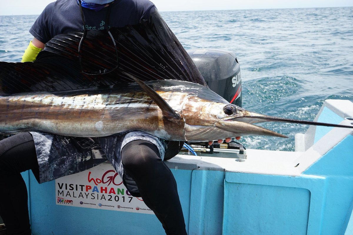 川棚新 バショウカジキ釣ったことがあると ちょっと嫌なことがあっても まあわたしはカジキ 釣ったことあるしな ってなるし 仕事でむかつく人に会っても そんな口きいていいのか 私は何度もカジキを釣ってる身だぞ ってなれる 戦闘力を求められる現代