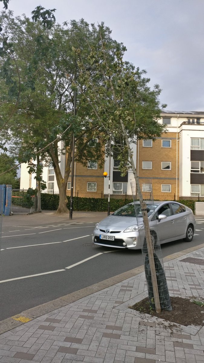 Tom Thompson tweet media