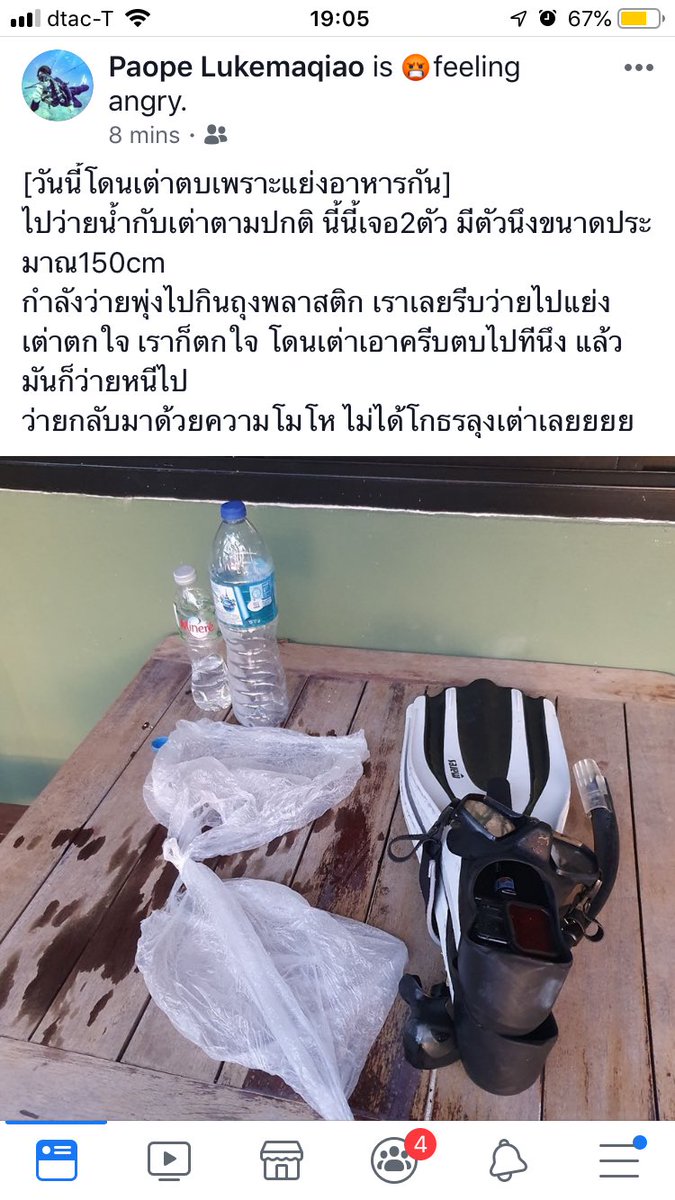 นี่คือสิ่งที่พวกเราต้องเจอในแต่ละวันเนาะ ตลกก็ตรงที่เพื่อนโดนเต่าตบ เพราะแย่งถุงพลาสติกออกจากปาก อิเวน 555555555555
