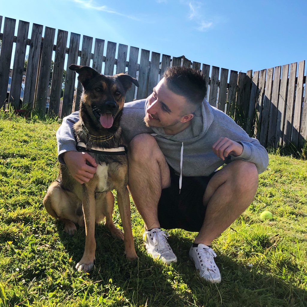 brad_wagonuk's tweet image. My boy rescued from a Romanian kill shelter, 1 year ago today ❤️