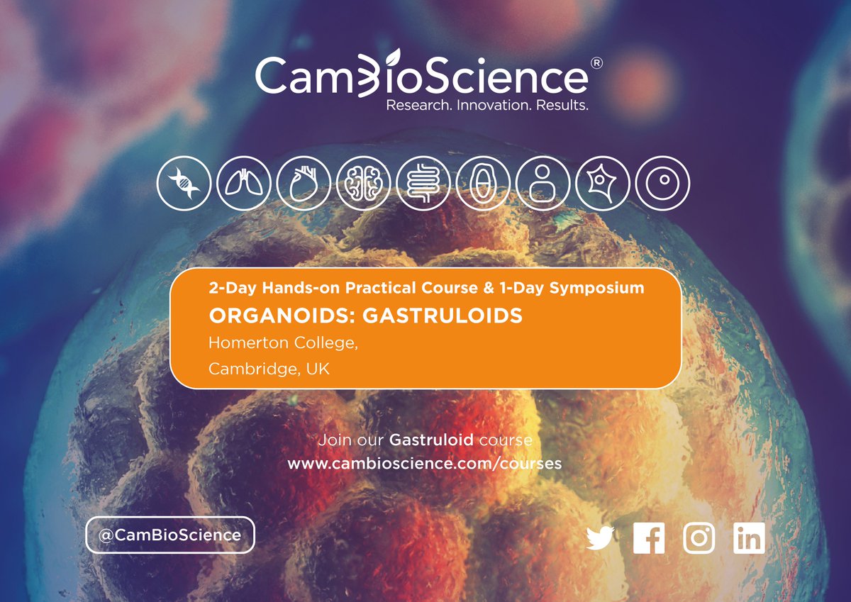 CamBioScience's tweet photo. Want to learn learn how to set up and maintain gastruloids from embryonic stem cells? Click the link for more information on our upcoming #gastruloid course - https://t.co/kgzDE02uKB
#organoid #stemcells #phd #learn #sciencecourse #lifescience https://t.co/AxcXvg7hnF