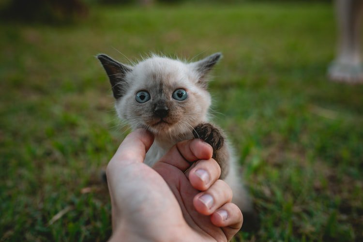 QuickeSelling's tweet photo. Today is the first day of the rest of your life 🌞 

Start an eCommerce store in 10 minutes or less with a platform that cares about YOU! 😁

https://t.co/KVkHiJHKkQ https://t.co/KVkHiJHKkQ https://t.co/olVIxi0kgU