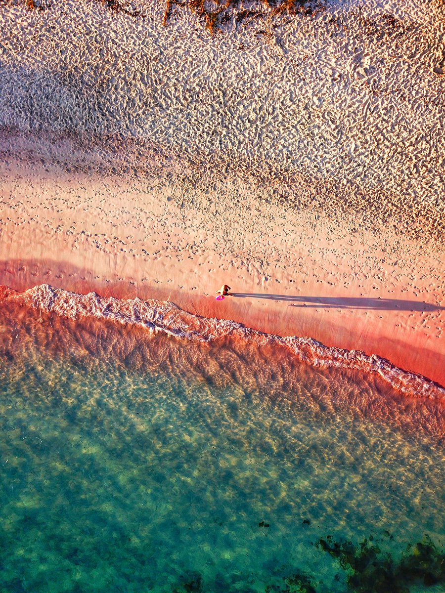 avenfauzi's tweet photo. A pink gem! Colourful hue reef, clear water and plenty of marine life. #PinkBeach 💗🐡🐠🐟 https://t.co/nRrnb7xSex