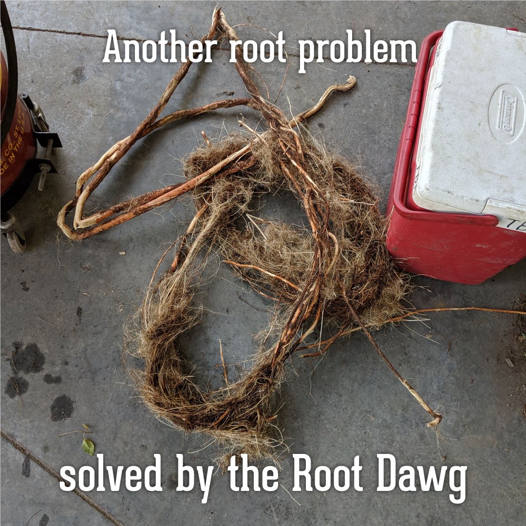 reddawgnozzles's tweet photo. This Root mass was removed on a demo last week in the Carolinas. Find out what our Root Dawg can do for your mainline and lateral issues. https://t.co/Sguy3Y6VxE https://t.co/tbDWpPFZra
