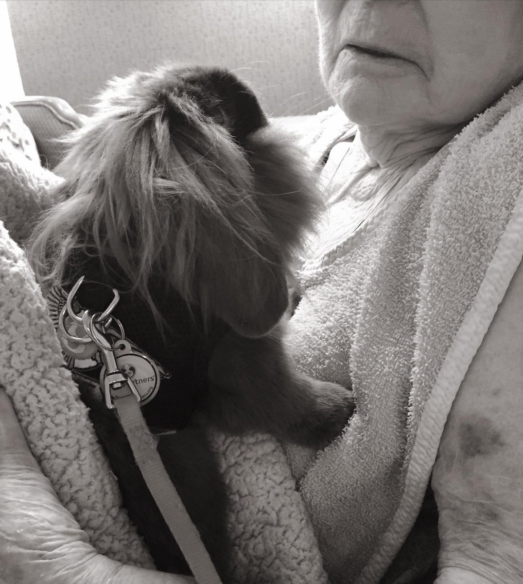 SideGravy's tweet photo. Why we do what we do. #BentleyTheBunny #AnimalAssistedInteractions ❤️🐰 https://t.co/SgJjcBAuD9