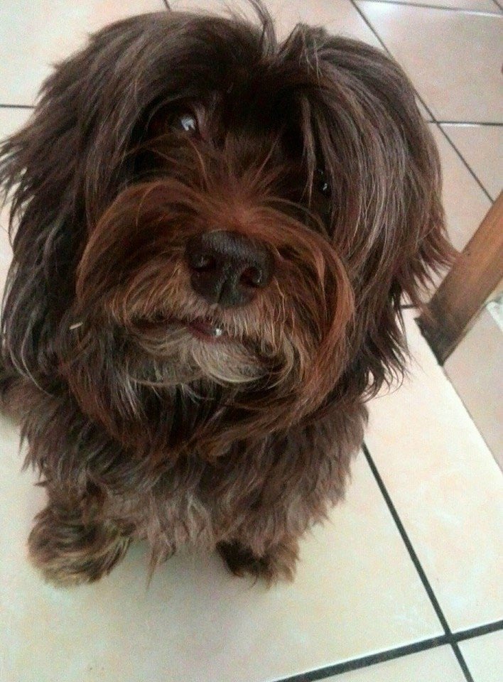 Sofi Granados tweet media