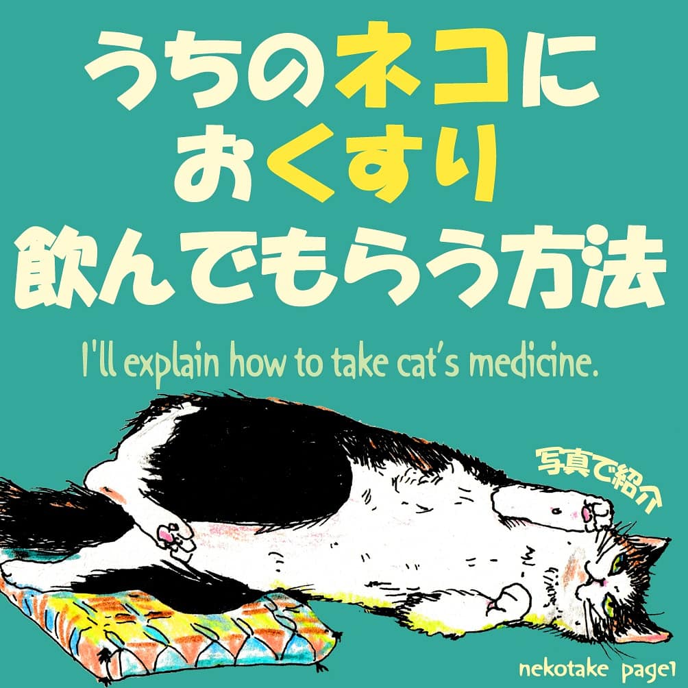 猫の薬の飲ませ方