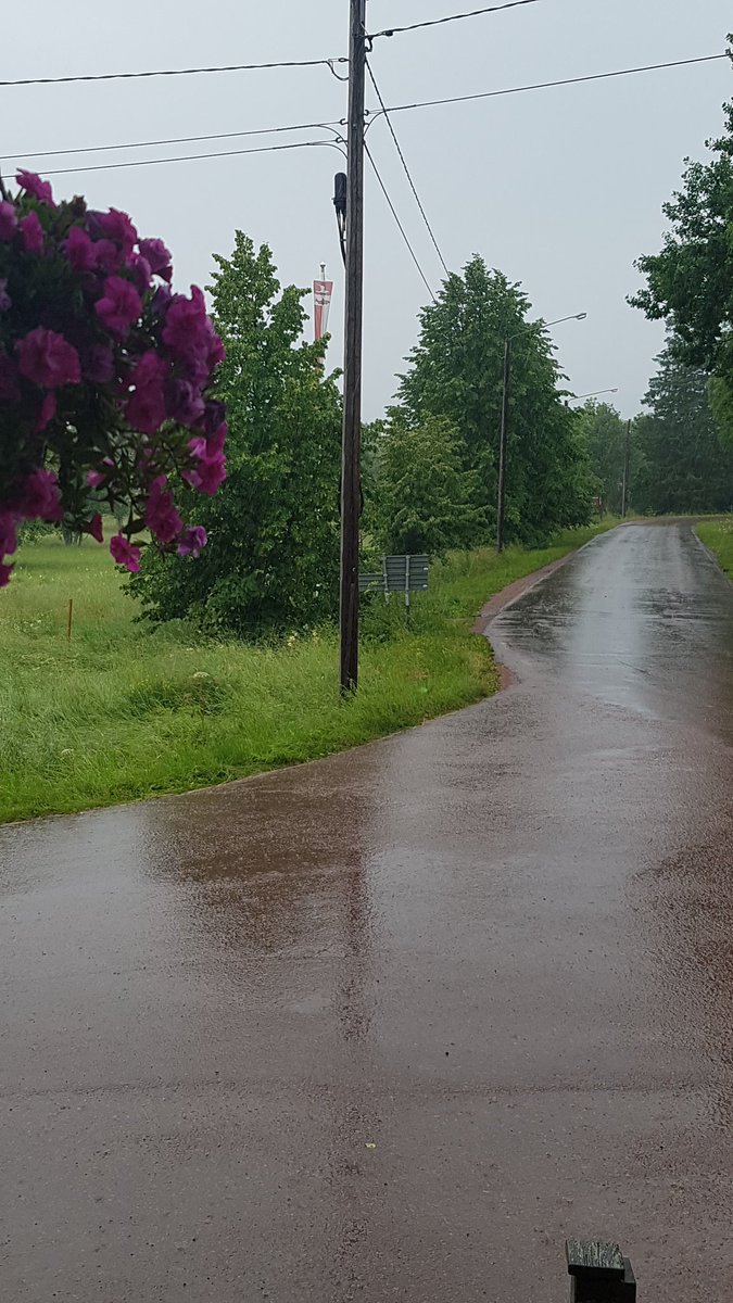 Al3xandrat's tweet photo. Summertime the only time we get to enjoy the sunshine in Scandinavia. And its been raining for days!!! #lovesummer #wherethesunat https://t.co/VOwnnNu4Vz