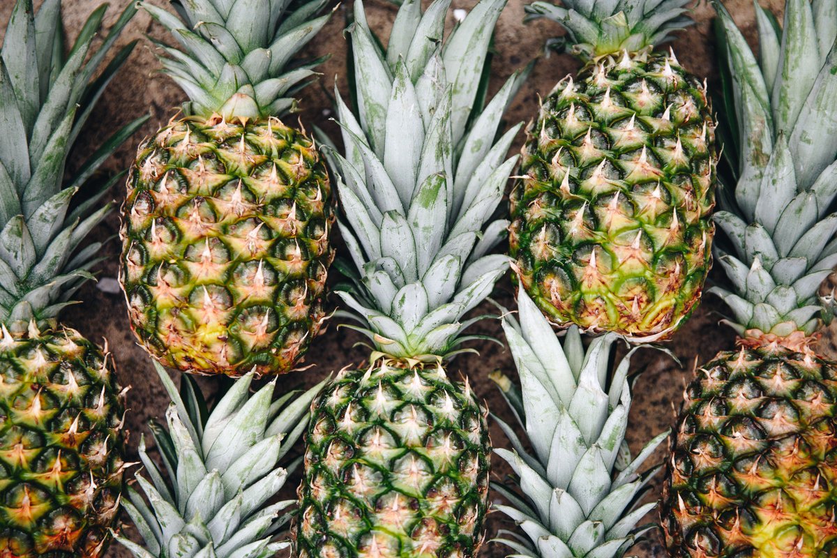 If you like Pina Colada and laughter join us this Pina Colada Day in Old Mary's Cocktail Bar alongside the hilarious <a href="/DeadSet5/">Deadset</a> from 20:00. 
Download our Youngs On Tap App to get one on us and follow the simple instructions to redeem it at the bar.

youngs.co.uk/on-tap-app