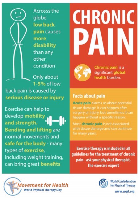 World Physiotherapy tweet media