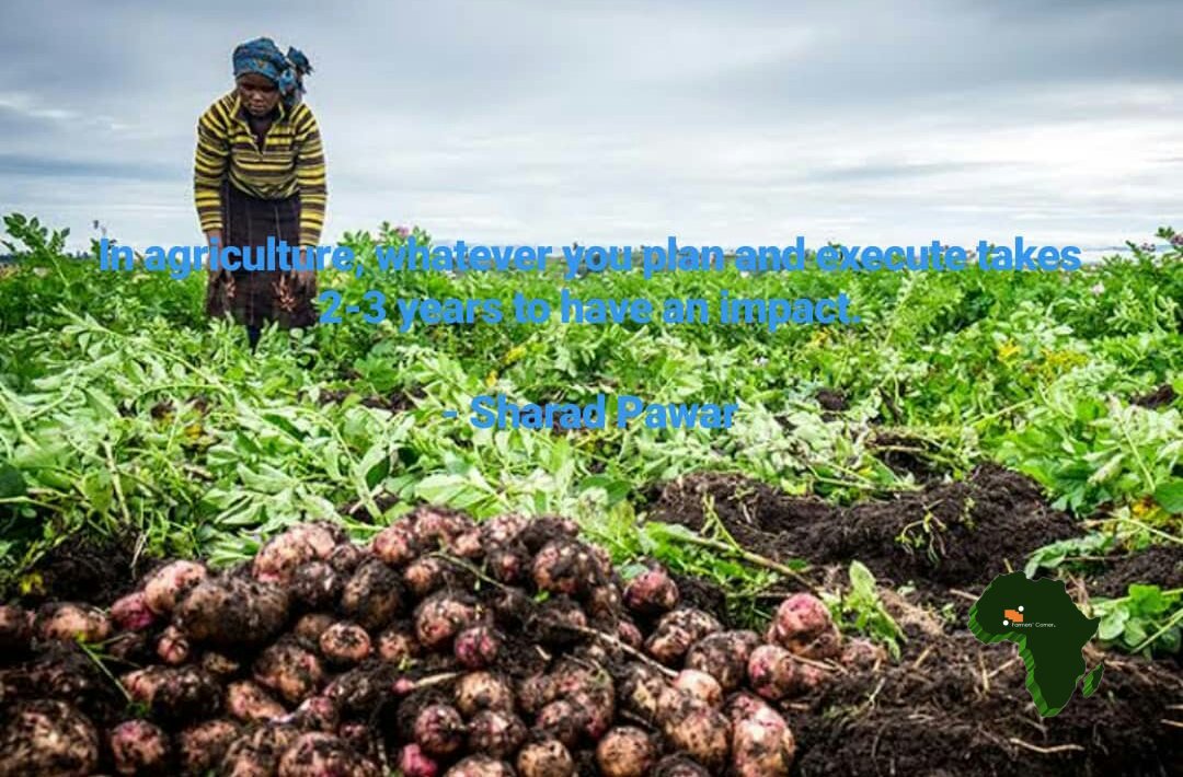 farmerscornerng's tweet photo. In agriculture, whatever you plan and execute takes 2-3 years to have an impact. - Sharad Pawar

#agriculture #agribusiness #agra #agro #agrainnovate #agplan #harvest #aginvestment #agribusinessafrica #transformag #farmerscornerng https://t.co/AbTTXVTc56
