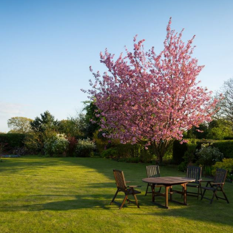 DonofrioLandsca's tweet photo. When the sun shines so does your garden πΈ
#landscaping #landscape #mowing #garding #clearingtrees #flowers #flower #petal #petals #nature #beautiful #love #instablooms #bloom #blooms #botanical #floweroftheday #beautiful #greengrass #naturelover #lawncare #landscaping #grass https://t.co/S3BIYfvkNk
