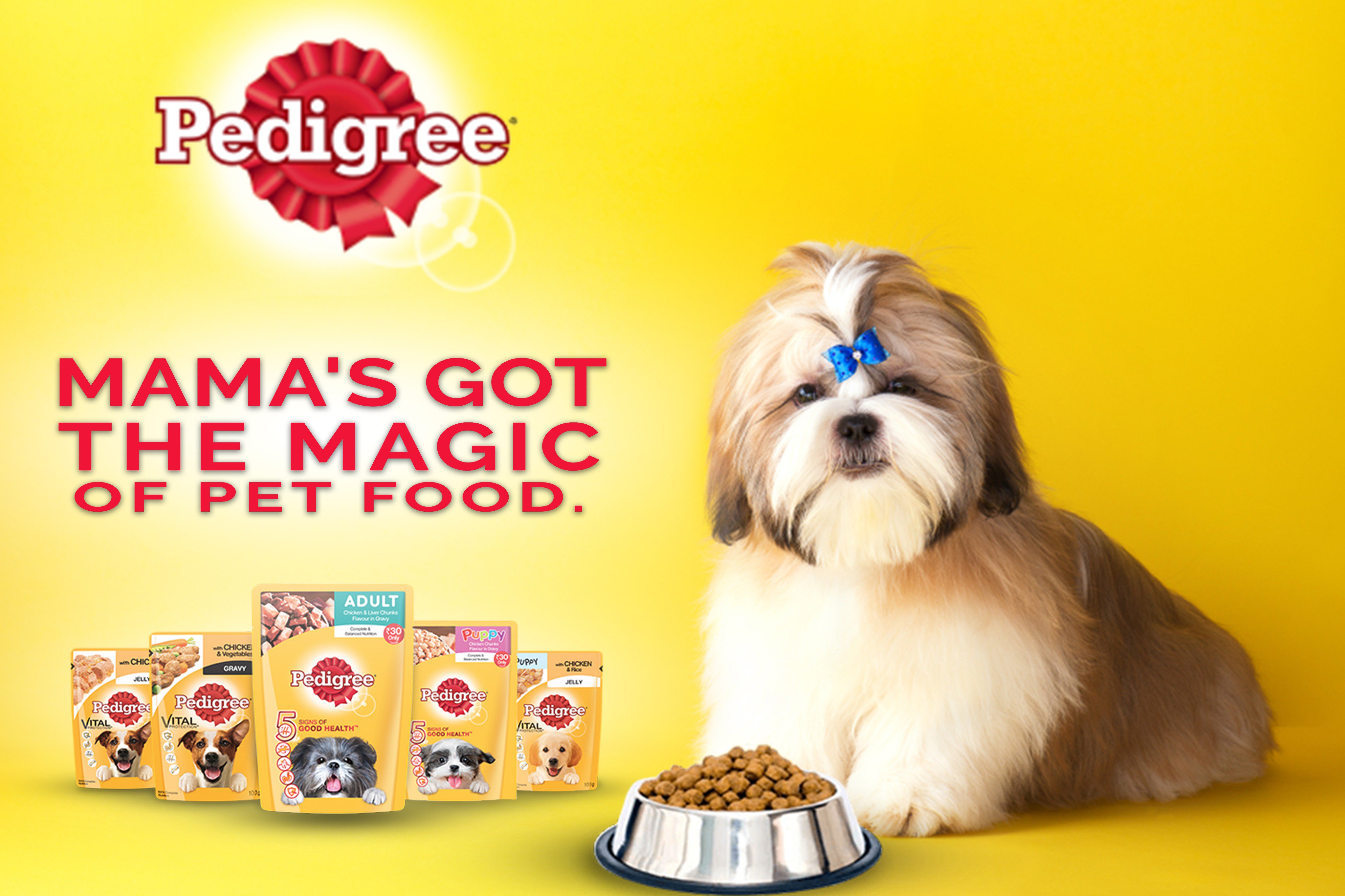 Flipkart pedigree dog food sales