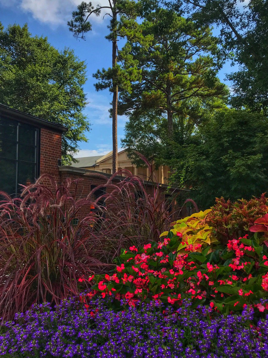 WestminsterATL's tweet photo. Summer mornings on campus 😍 https://t.co/qMyTpiMC2s