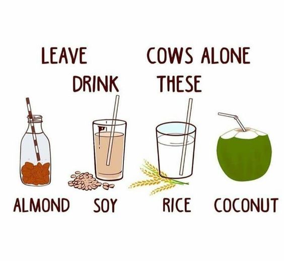 thevegansnuts's tweet image. If you truly appreciate cows, stop stealing their milk, Stop denying them a chance in motherhood, stop contributing to the death of their babies. That's how you TRULY appreciate cows! IF YOUR MOTHER DOESN'T MOO IT'S NOT FOR YOU! it's that simple. ##CowAppreciationDay #ditchdairy