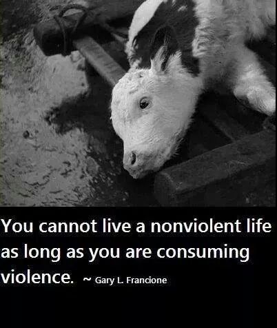 thevegansnuts's tweet image. If you truly appreciate cows, stop stealing their milk, Stop denying them a chance in motherhood, stop contributing to the death of their babies. That's how you TRULY appreciate cows! IF YOUR MOTHER DOESN'T MOO IT'S NOT FOR YOU! it's that simple. ##CowAppreciationDay #ditchdairy
