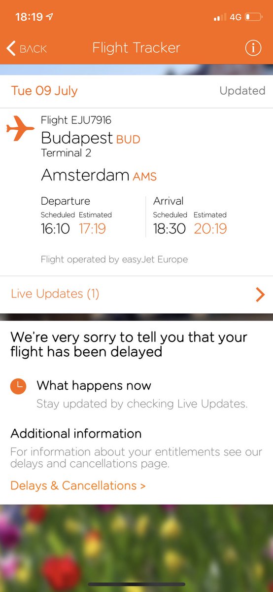 Peter Mika tweet media