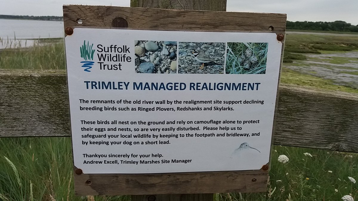 DedhamValeNL's tweet photo. Learning all about #Managedrealignment @suffolkwildlife at Trimley Marshes for #wading #birds #saltmarsh on #L4L2019 https://t.co/SzPzzhM6pR