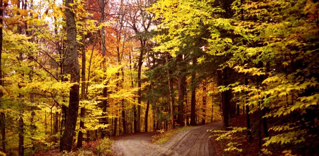 JenniferFineArt's tweet photo. Big News at Spirit Trail Fiberworks, read all about it on today’s blog post 💚 https://t.co/Bjbl6ztVgF https://t.co/il2t92UbXf