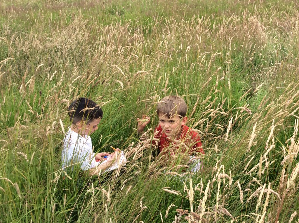 HemingtonPS's tweet photo. Identifying and drawing a Cinnabar Moth https://t.co/7e1YrM534e