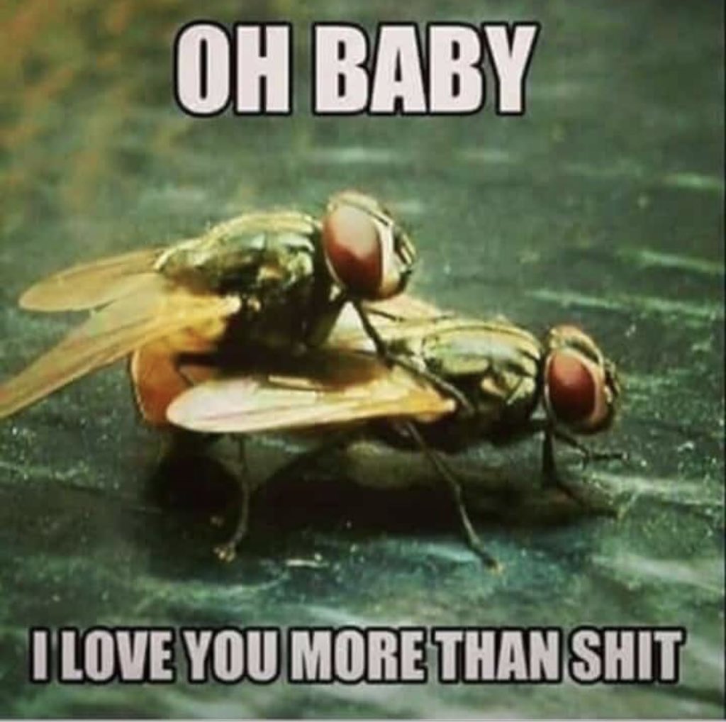 DukeLongstone's tweet image. 