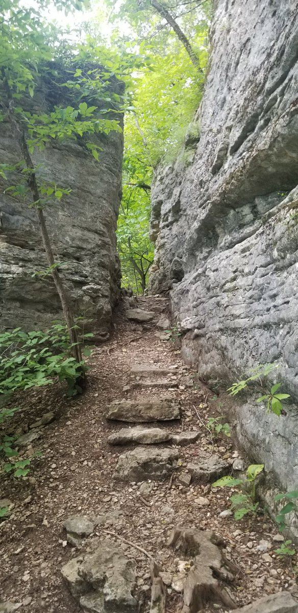 61sbs's tweet photo. Enjoy life. #getoutside #HikeAR #gogeocaching #optoutside #BuffaloNationalRiver #WhitakerPoint @ARStatePark @OnlyInArk @Ssiler3 @shanesiler13 https://t.co/fXDL5isTxe