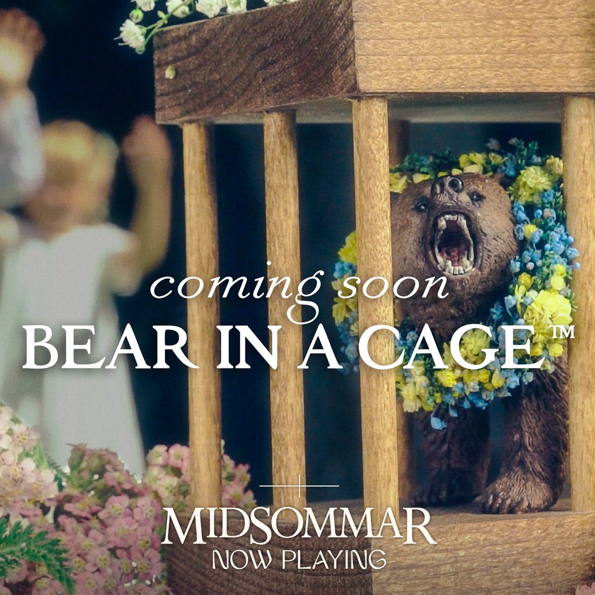 RT @A24: It's a bear. #Midsommar https://t.co/D9X7MwcbDN