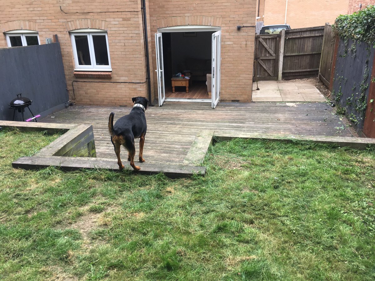ParadigmTenant's tweet image. One garden cleared of rubbish! Love my @aldwyckofficial house ❤️ feel very lucky. #socialhousing