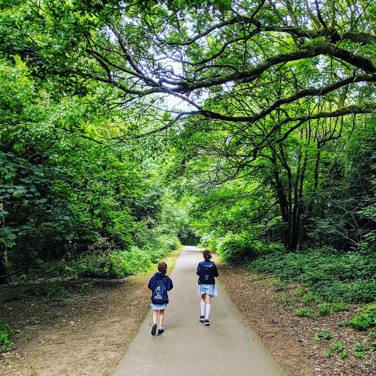 _happymumdays's tweet photo. Lovely walk to school this morning🚶🏽‍♀️🌲☺️ Just what we needed after our busy day yesterday. Fresh air, fresh heads! Tomorrow we take the bikes 🚲 #walking #reigate #happymumdays #letsgetwellthy https://t.co/fS06375BhA