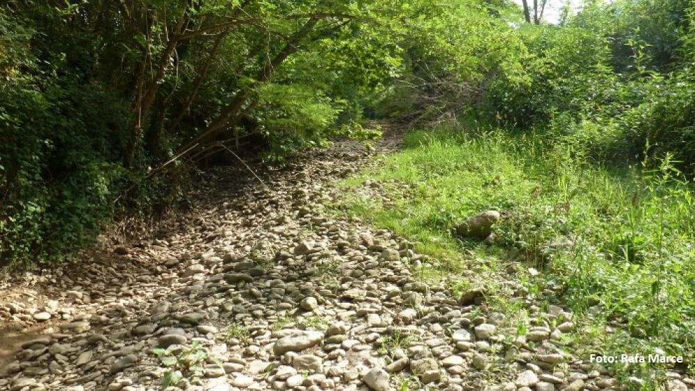 #Politik diskutiert gerade Zusammenhang von #Klimawandel, #Niedrigwasser&amp; #Biodiversität. Oft übersehen: #Gewässer können bei Austrocknung selbst relevante Klimawandel-Player werden: igb-berlin.de/news/trockene-…
<a href="/GrueneBundestag/">Grüne im Bundestag 🇪🇺🏳️‍🌈</a> <a href="/SteffiLemke/">SteffiLemke</a> <a href="/bund_net/">BUND</a> @LauraVittorelli <a href="/rponline/">𝖗𝖚̈𝖑𝖕𝖘𝖊𝖓𝖉𝖊 𝖕𝖔𝖘𝖙 🫠</a> <a href="/dpa/">dpa</a>