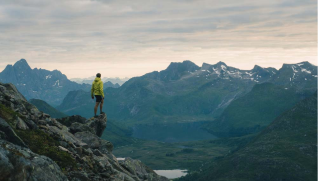 Hanli Wood tweet media