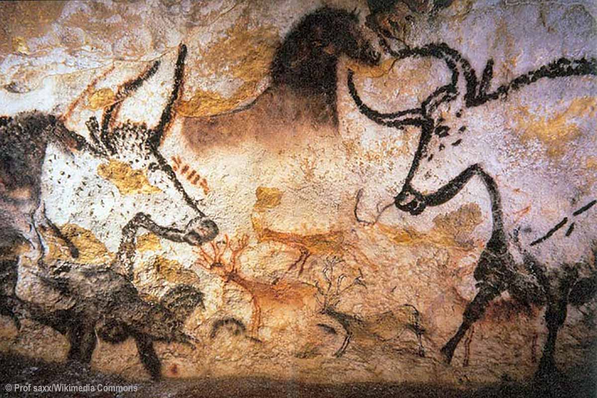 NHM_London's tweet photo. Cattle are thought to have been domesticated at least twice from the now extinct auroch roughly 10,000 years ago. This has given rise to the two main branches of domestic cattle, the taurine line in Europe and the indicine line in Asia. #CowAppreciationDay https://t.co/zXiZlBE7UE