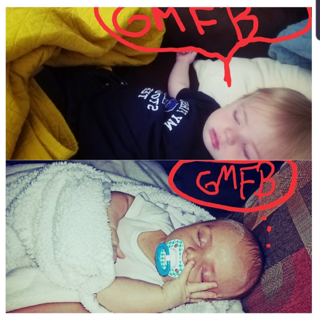  Happy 3rd Birthday Winston  Scott Jardine whose favorite show is still  