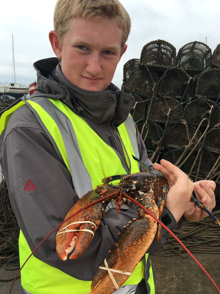 TheBlythAcademy's tweet photo. Hands on careers guidance at The port of Blyth. #TBACareers https://t.co/yOdIsuNDex